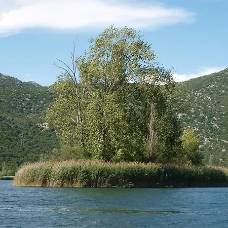 דירה Luna פלוצ'ה