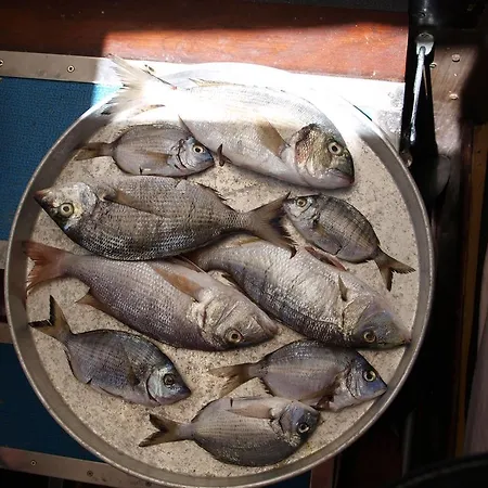 דירה Luna פלוצ'ה